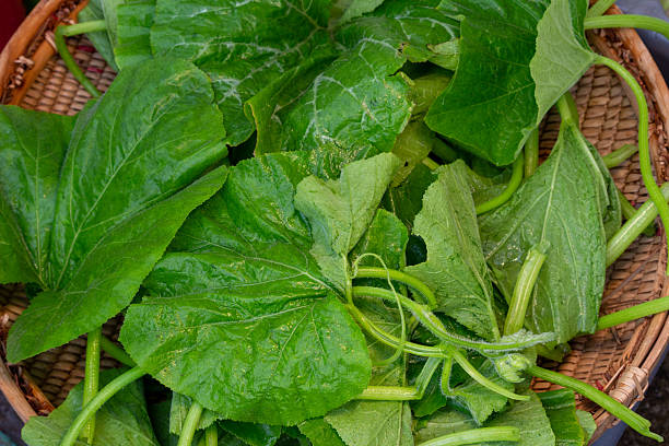 Pumpkin Leaves (Fresh Muboora / Ugu / Pumpkin Greens)